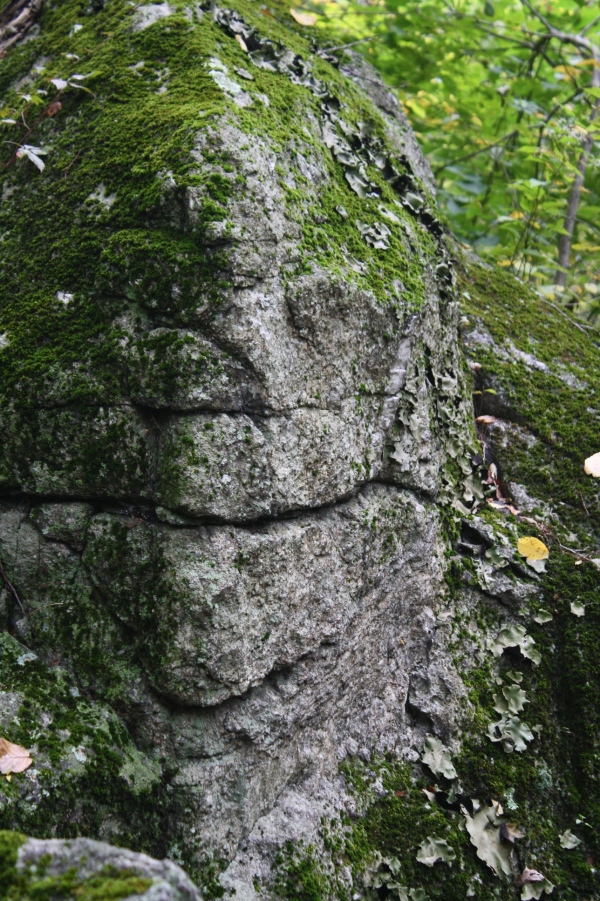 Weathered Granite Ledge